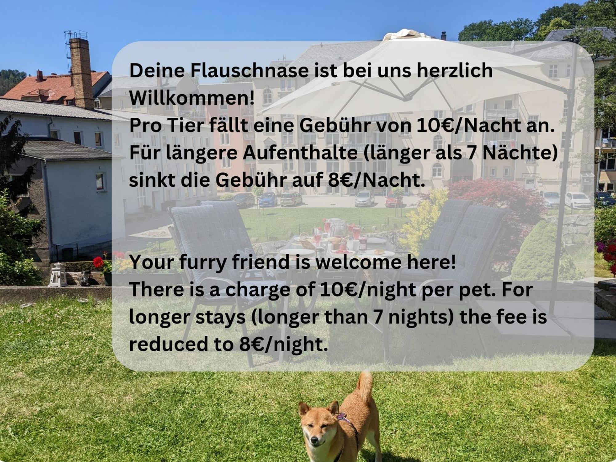 Hw4B - Urlaubsmagie - Zentral Mit Gemeinschaftsgarten, -Pool, -Sauna & Whirlpool Sebnitz Ngoại thất bức ảnh
